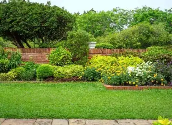 landscaping services Riverwood